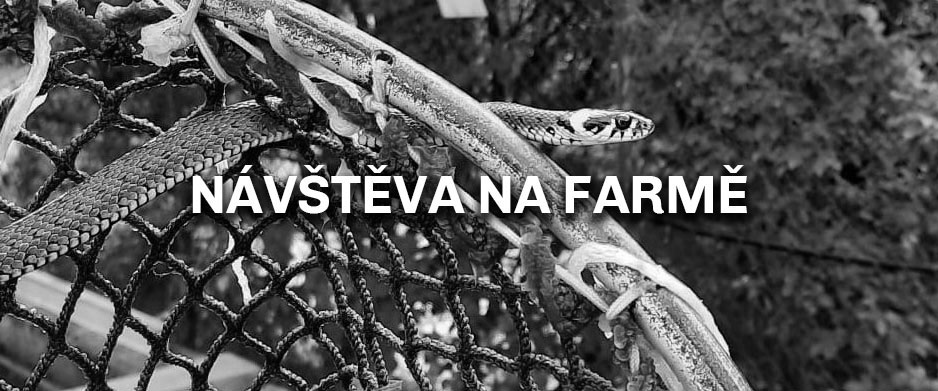 Návštěva na farmě