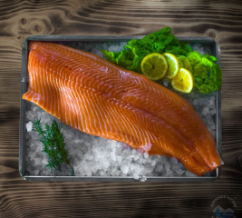 Losos norský – filet