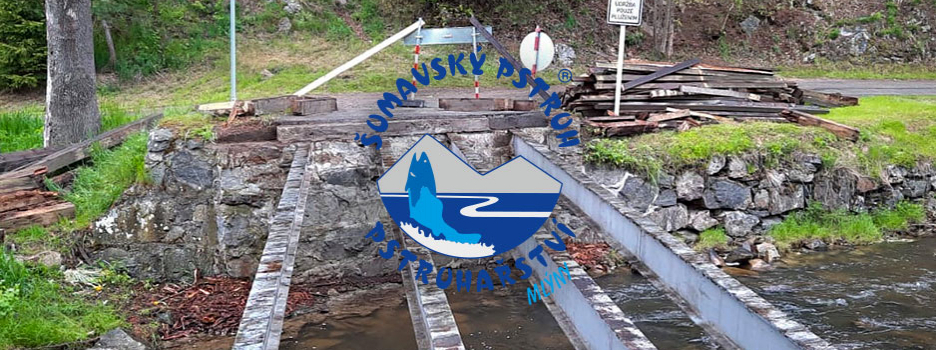 Most a vakuování ryb