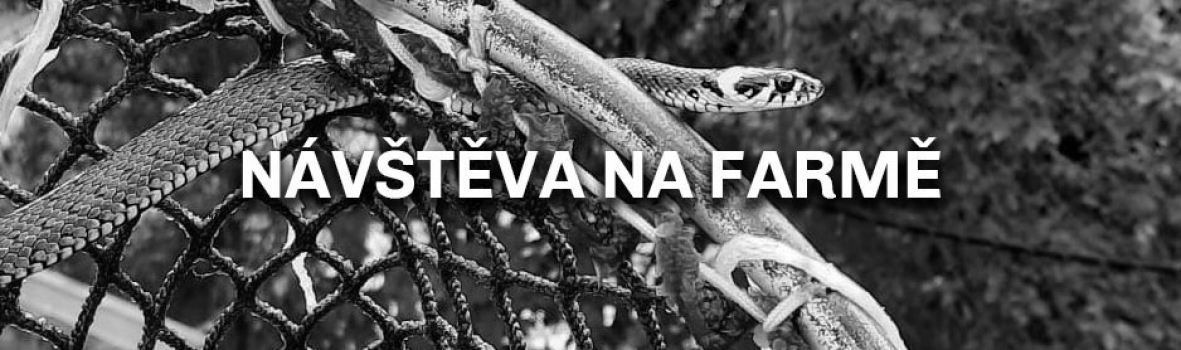 Návštěva na farmě