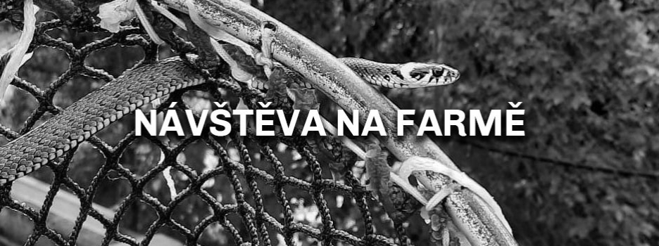 Návštěva na farmě