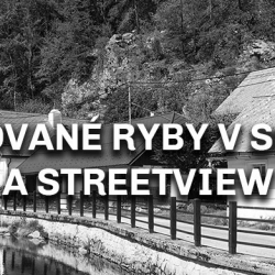 Vakuované ryby v sobotu a streetview